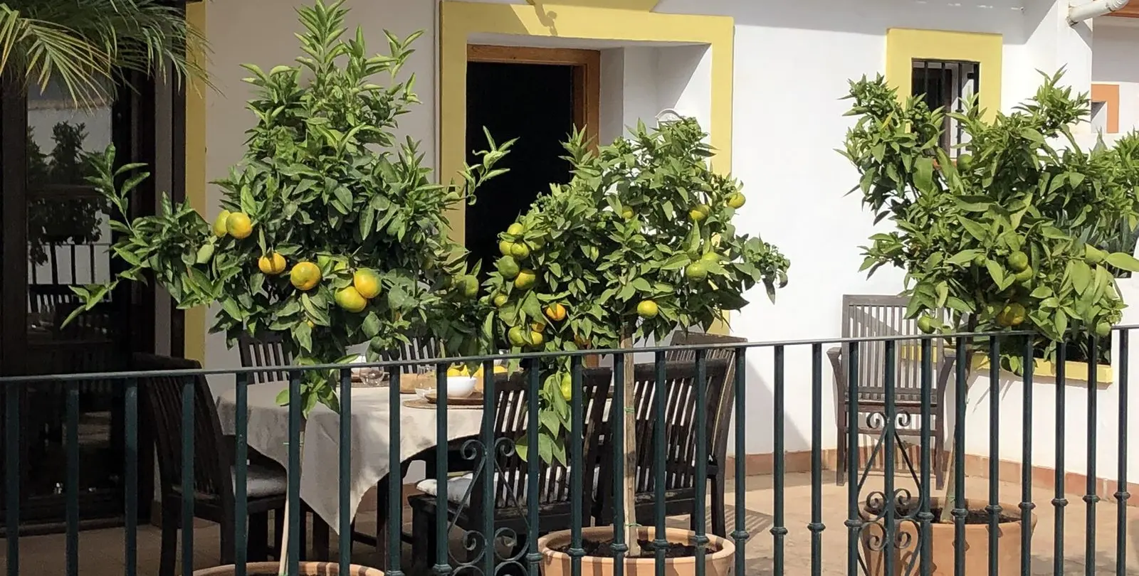 Sale of townhouse in Mijas Costa 106