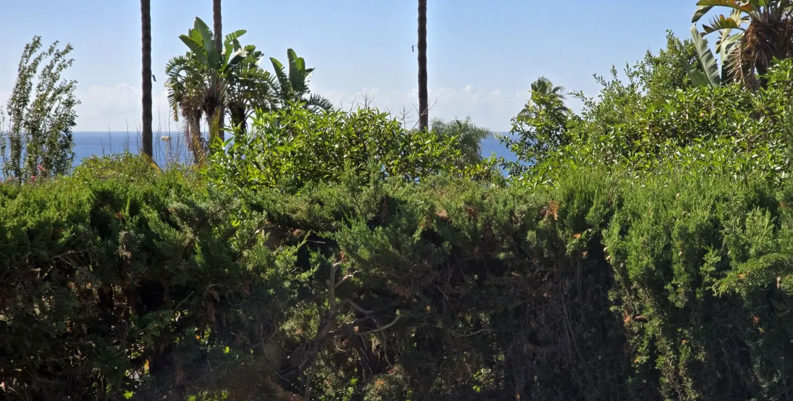 Venta de villa independiente en El Chaparral 33