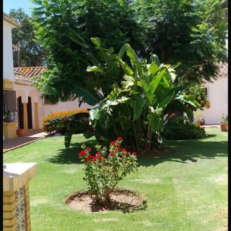 Venta de apartamento en planta media en Marbella