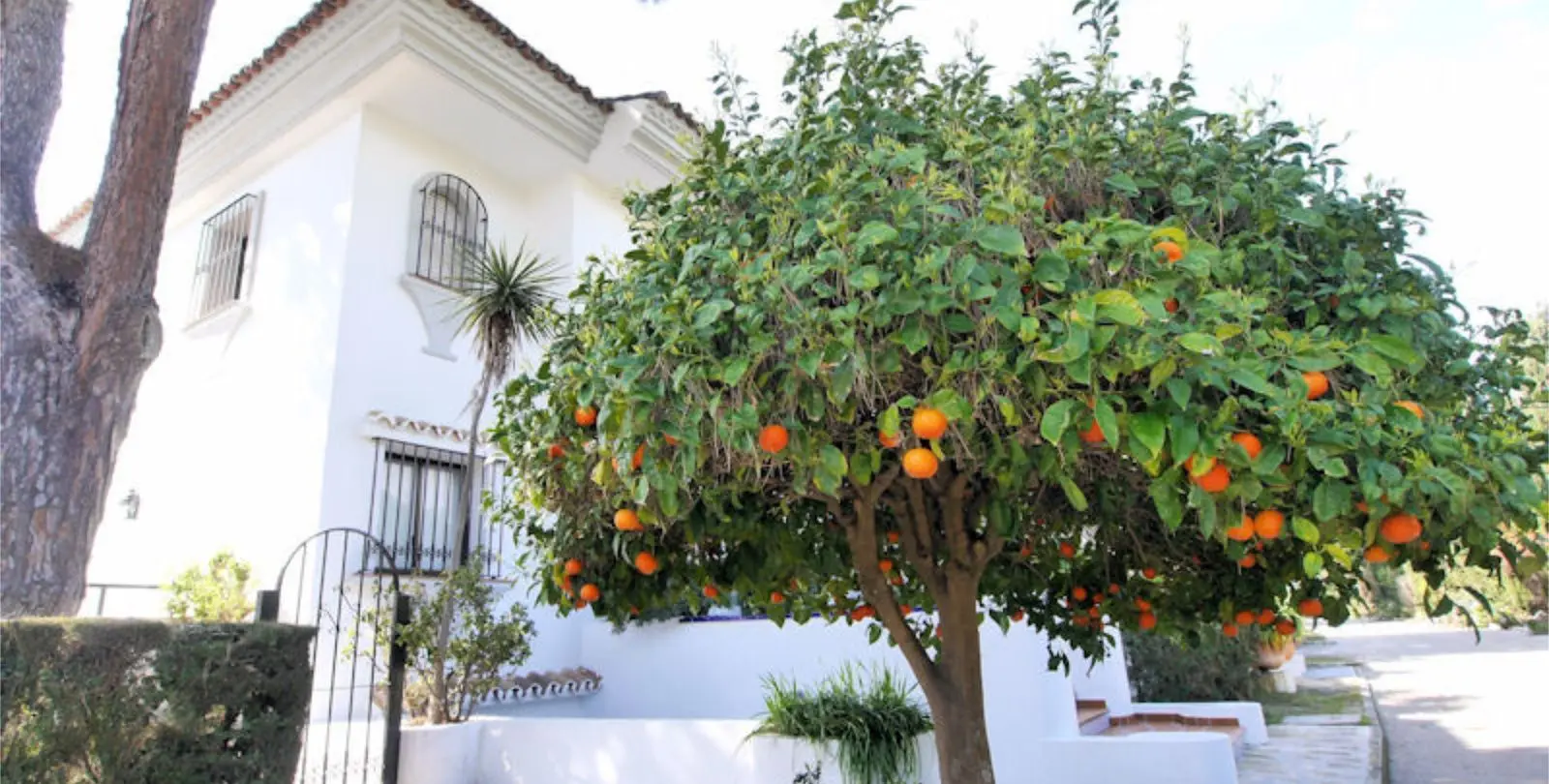 Sale of townhouse in Cabopino 8
