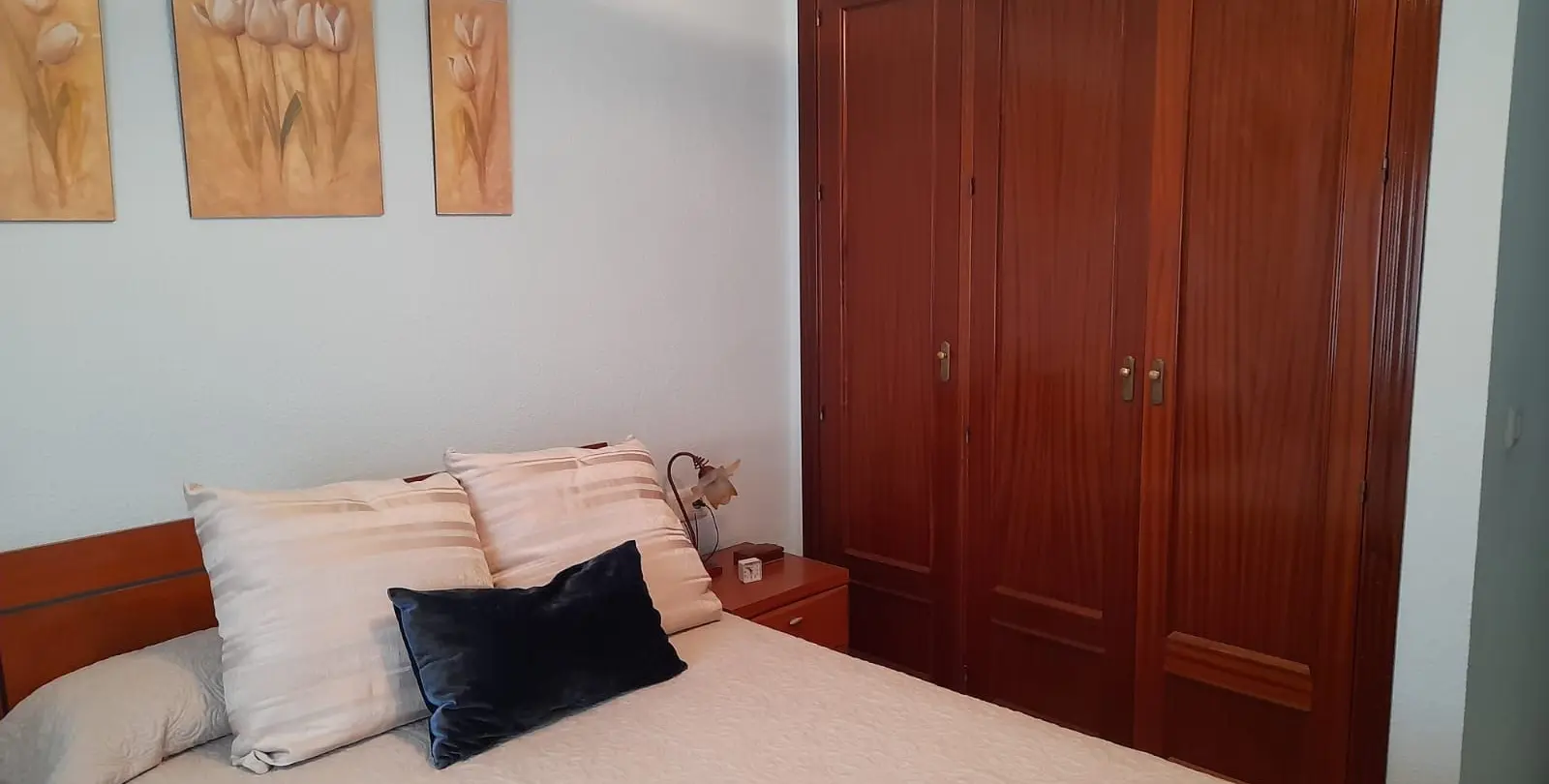 Sale of middle floor apartment in Benalmadena 8