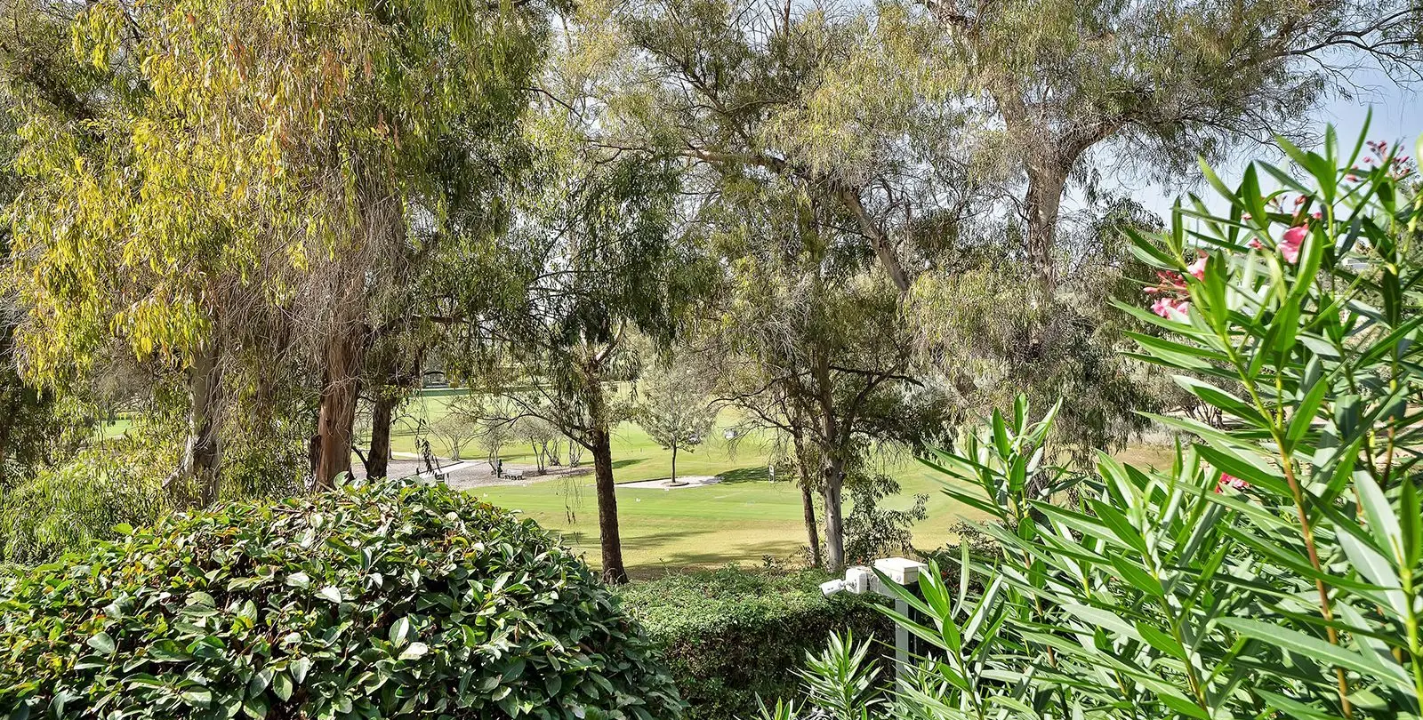 Sale of ground floor apartment in Atalaya 8