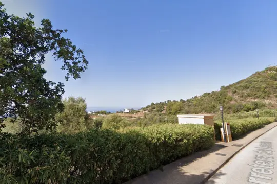 Image 4 thumb