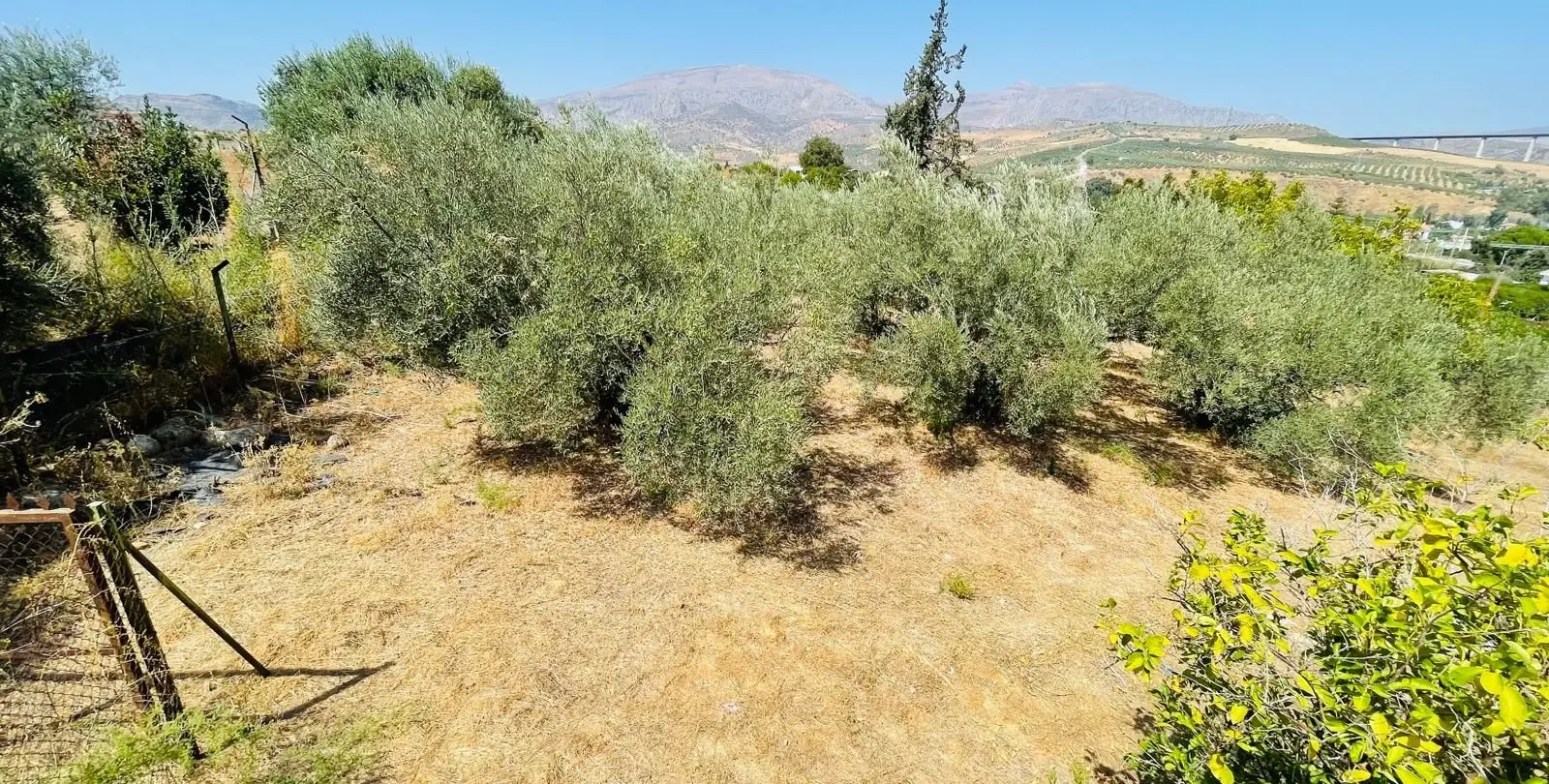 Venta de villa independiente en Alora 41