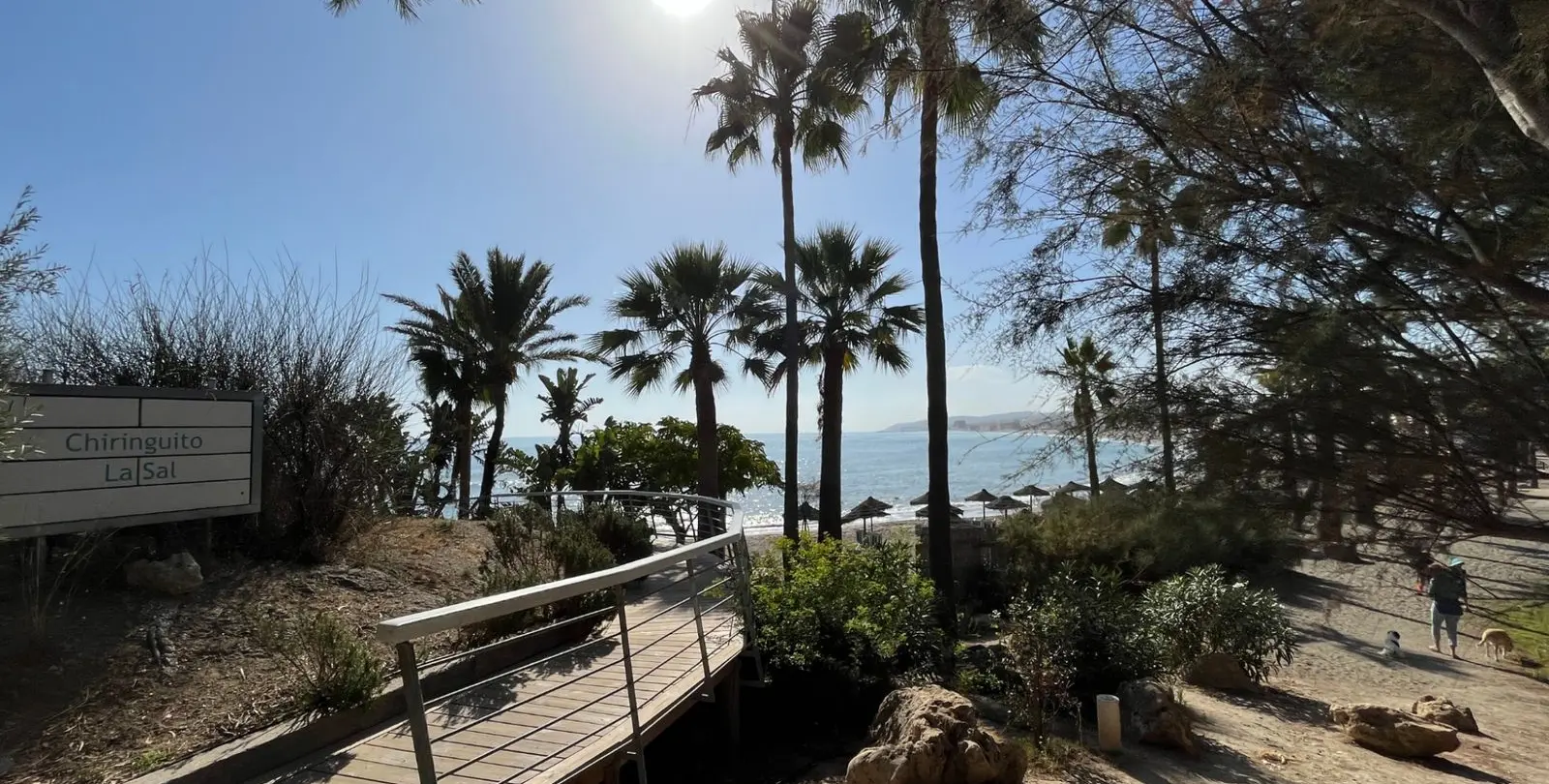 Sale of penthouse in Casares Playa 29