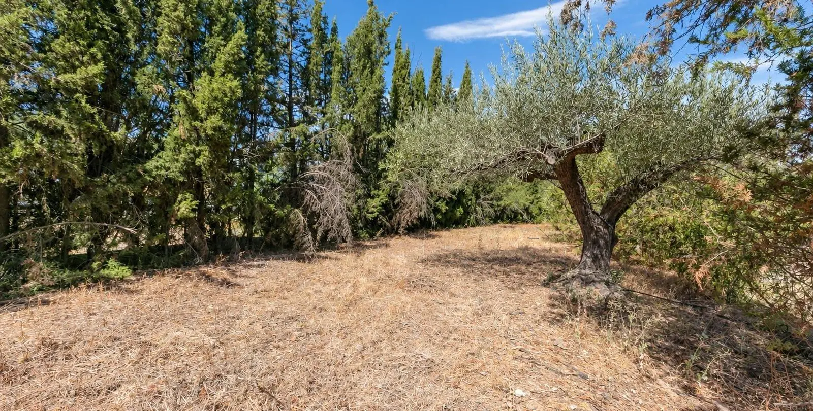Продажа финки в Alhaurín el Grande 34