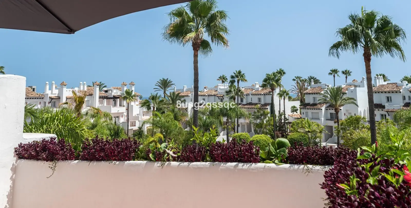 Venta de casa pareada en Costalita 23