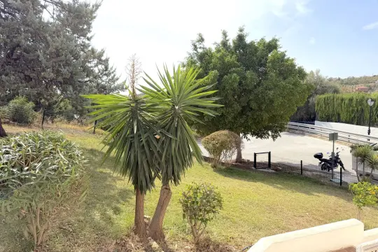 Image 4 thumb