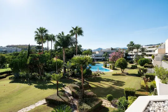 Image 3 thumb