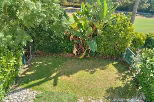 Image 3 thumb