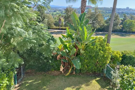 Image 15 thumb