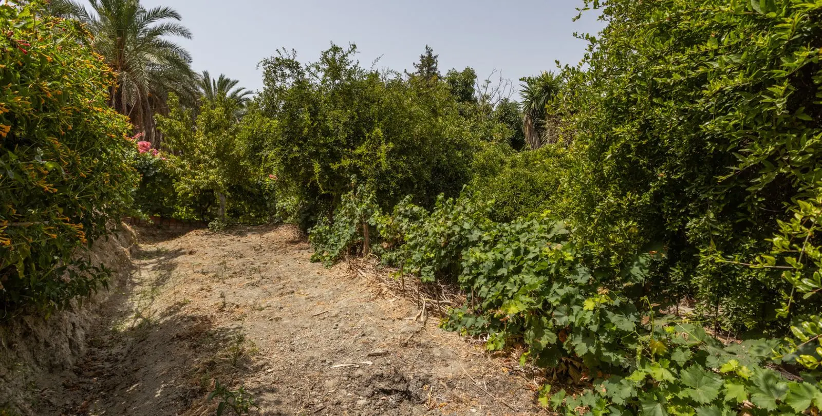 Venta de villa independiente en San Pedro de Alcántara 28