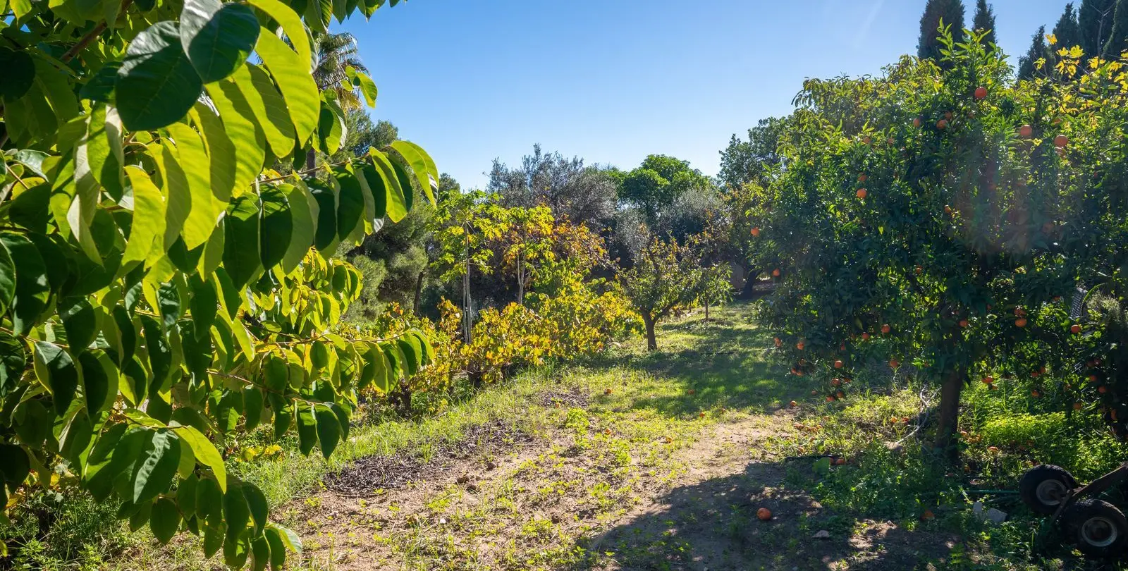 Venta de villa independiente en Mijas 48