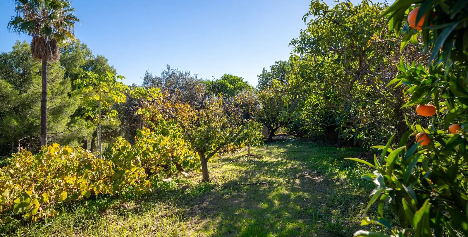 Venta de villa independiente en Mijas 49