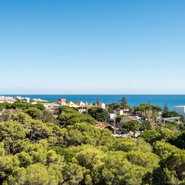 Sale of penthouse in Calahonda