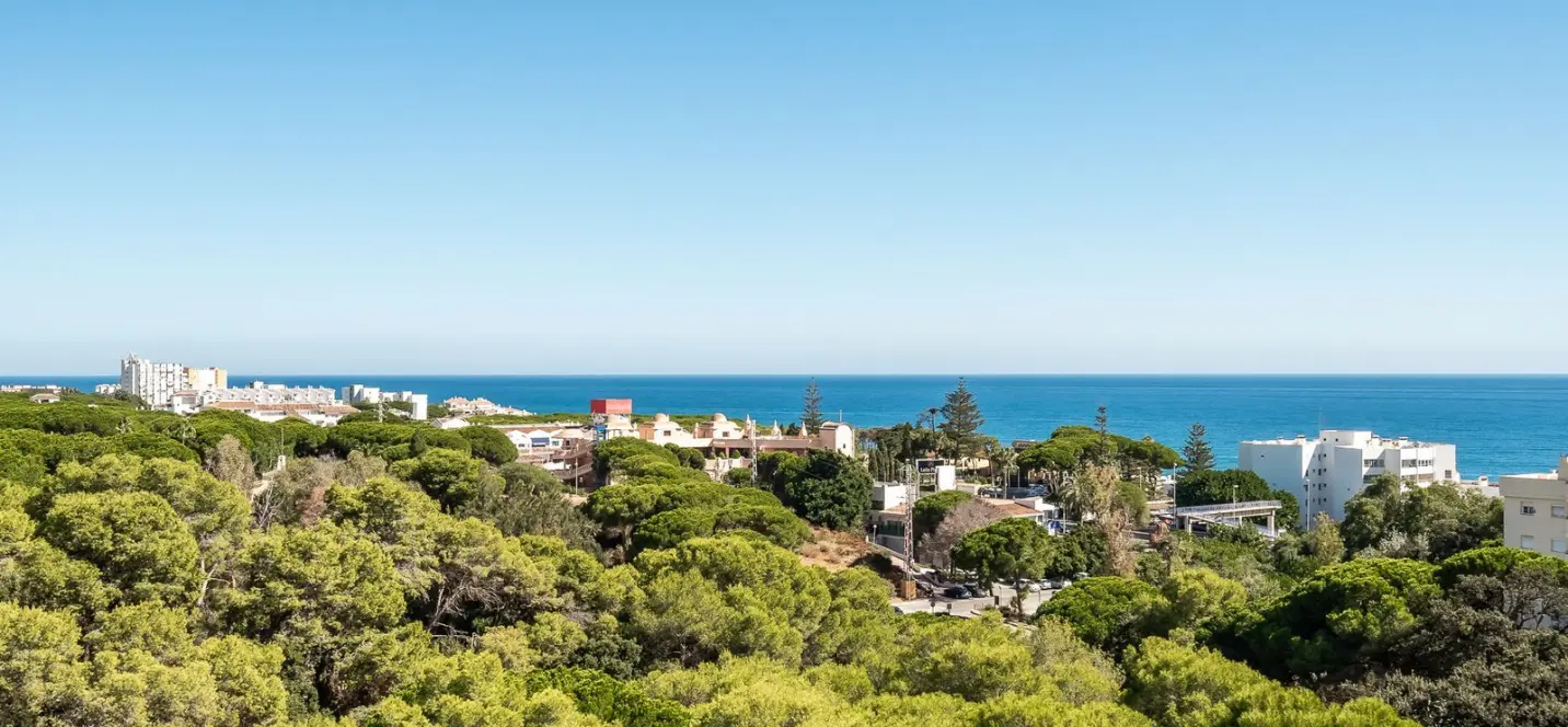 Sale of penthouse in Calahonda 1