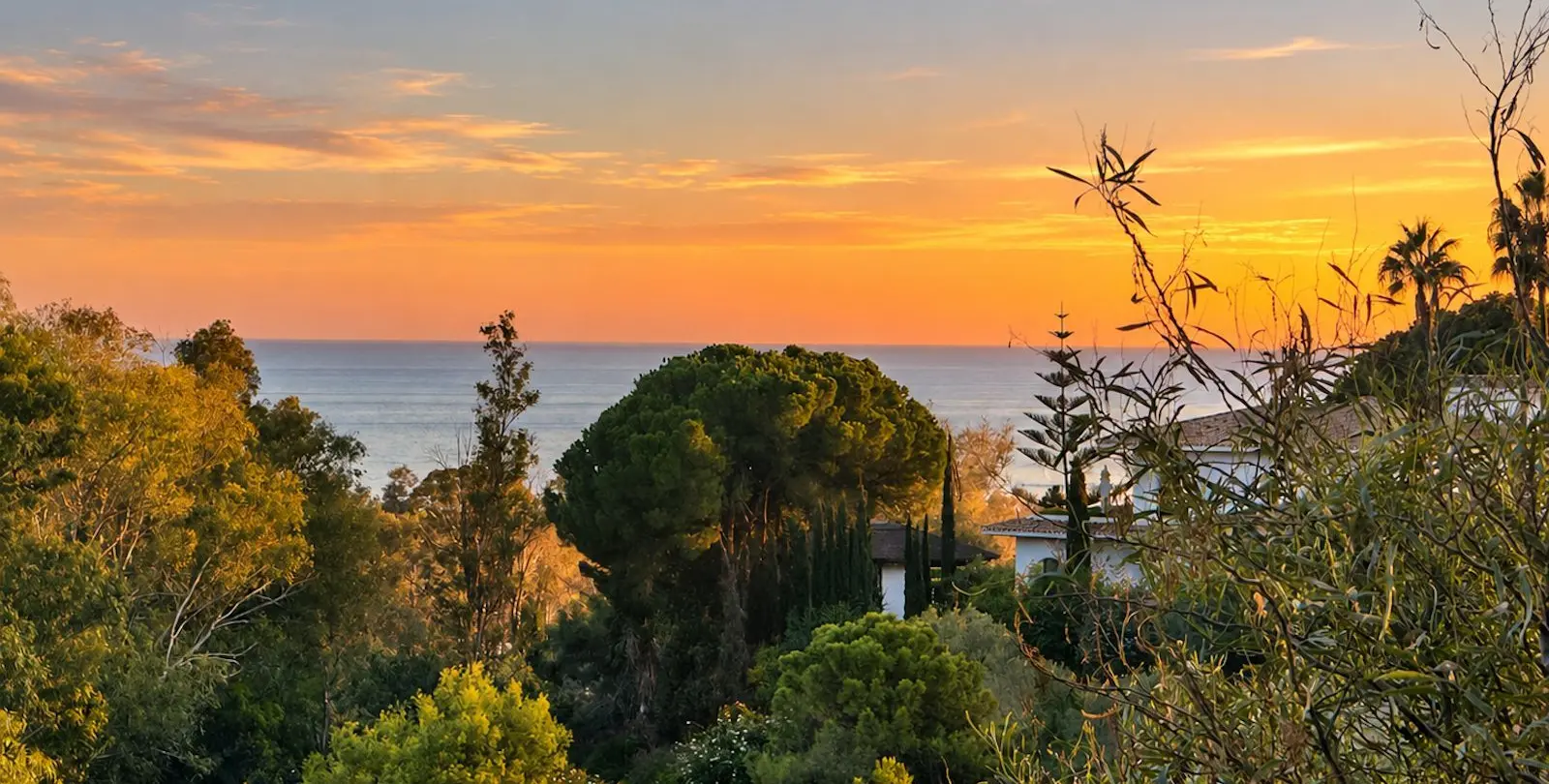Venta de villa independiente en The Golden Mile 43