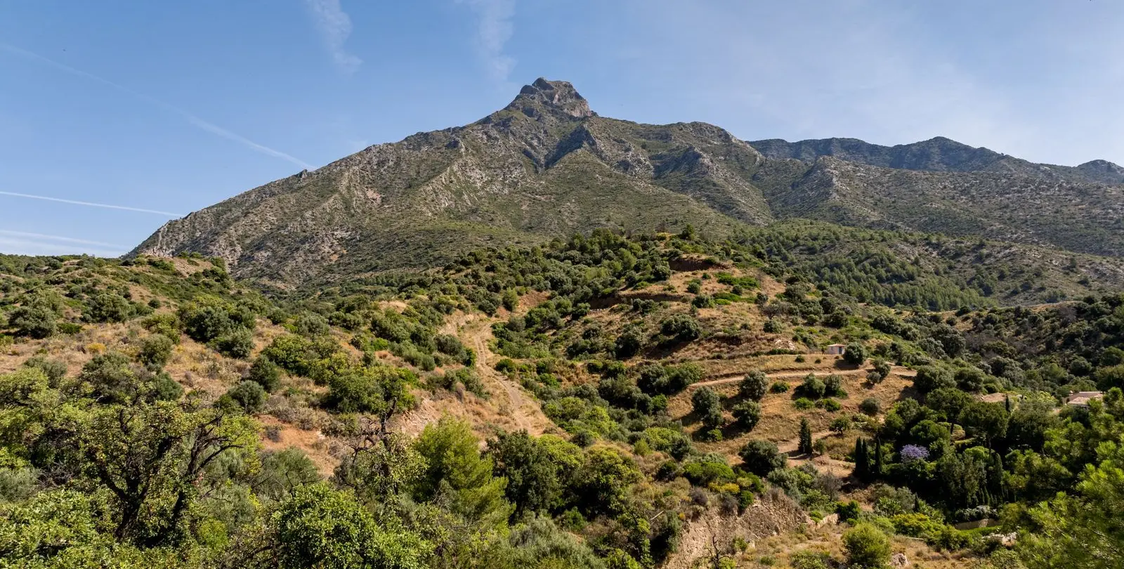 Venta de parcela residencial en Marbella 7