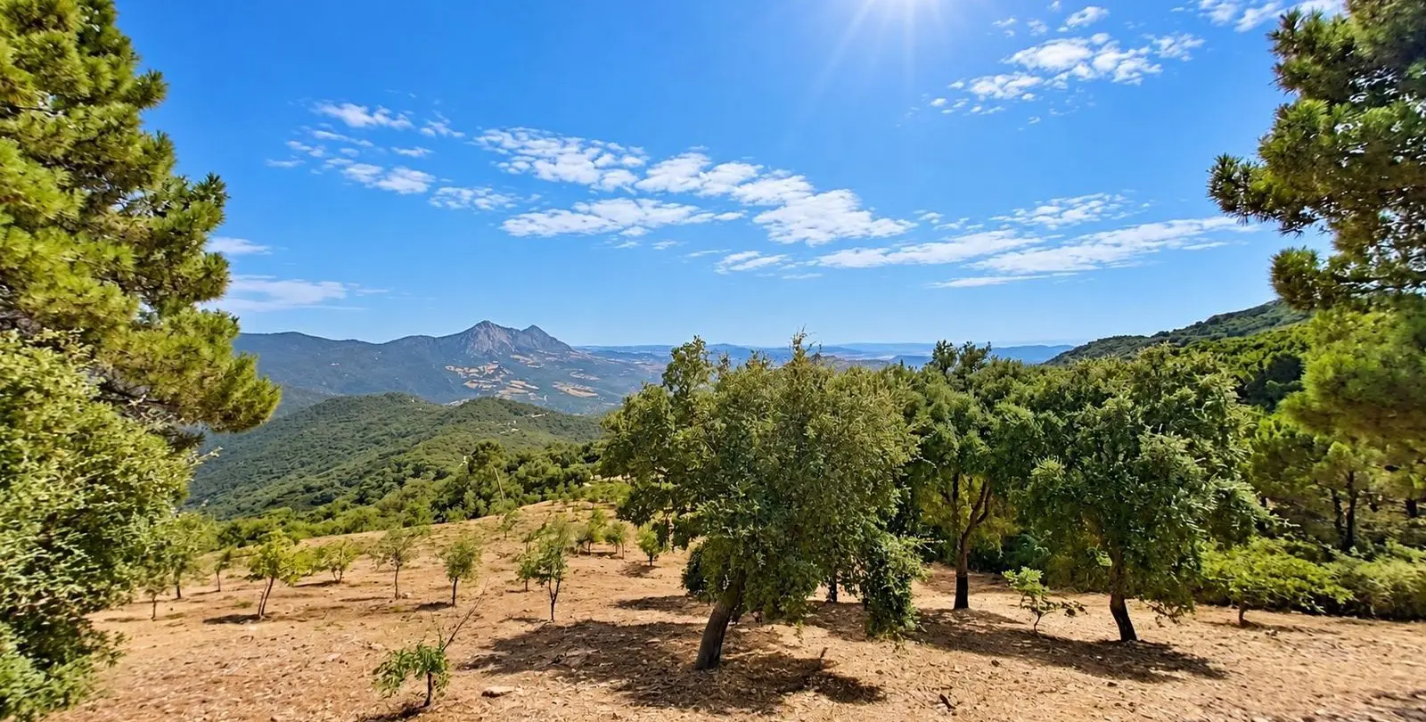 Venta de villa independiente en Gaucín 21