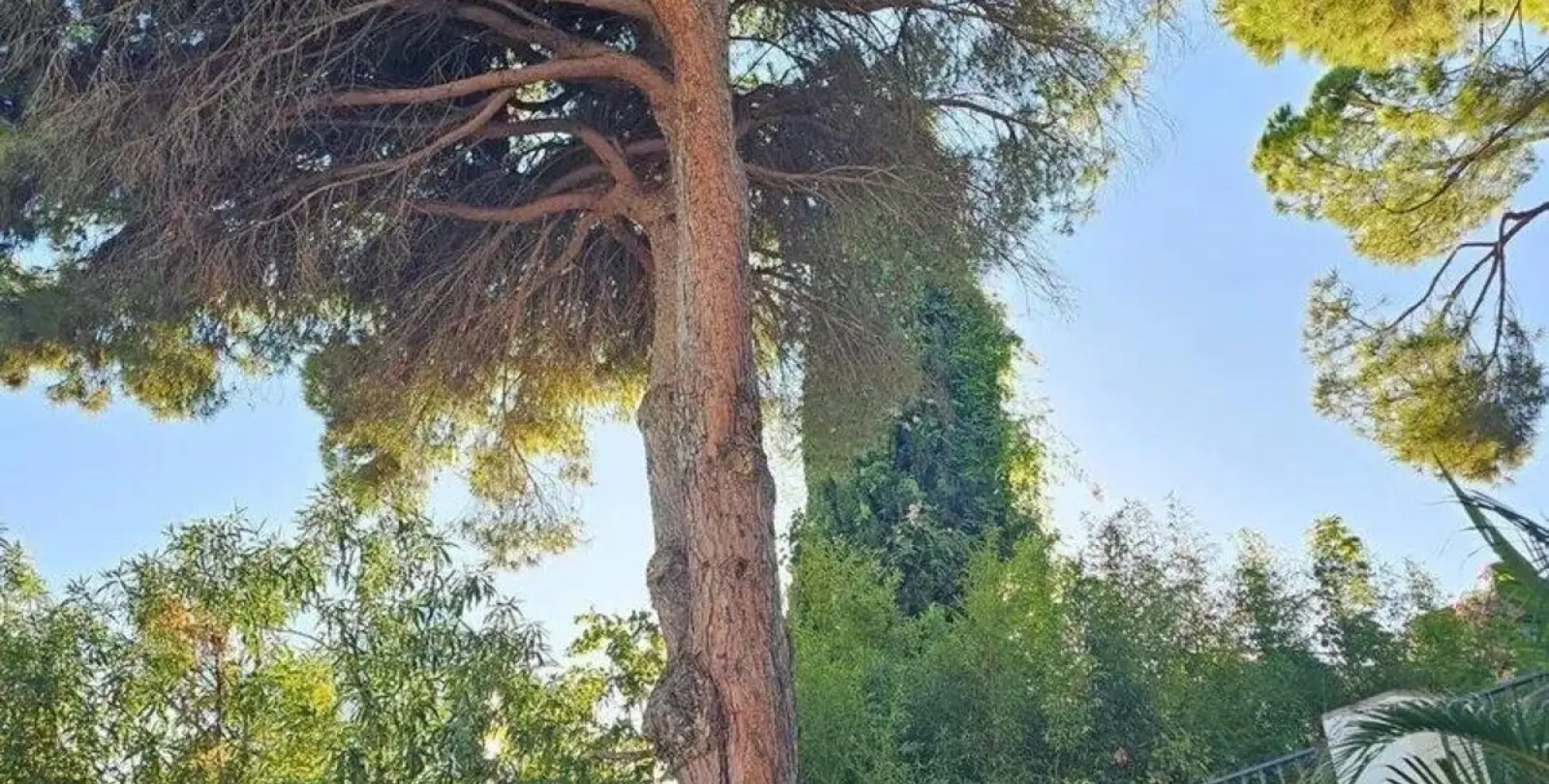 Продажа таунхауса в Marbella 7