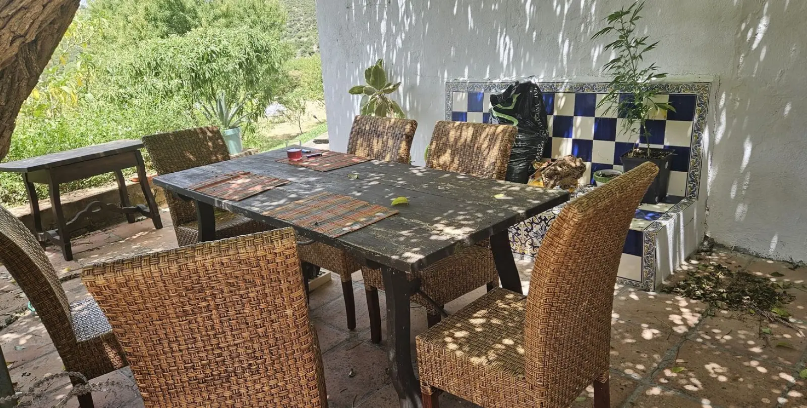 Venta de finca - cortijo en Casares 15