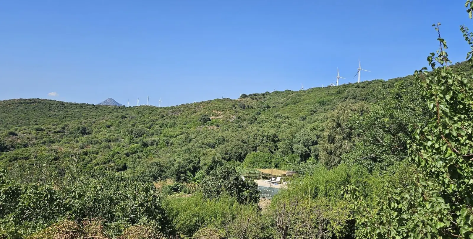 Venta de finca - cortijo en Casares 21