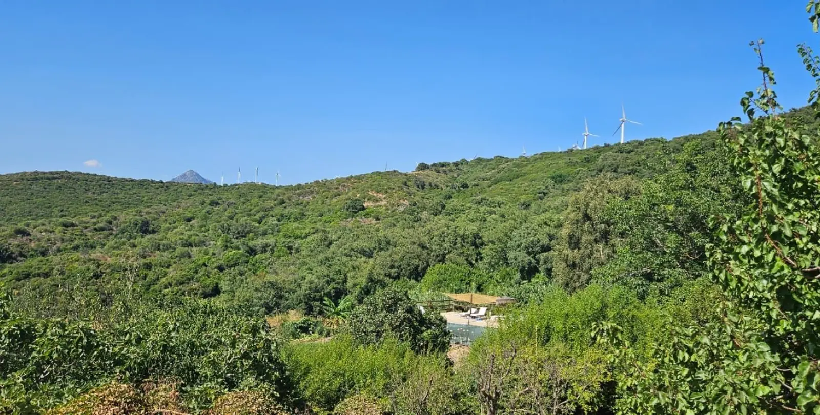 Venta de finca - cortijo en Casares 25