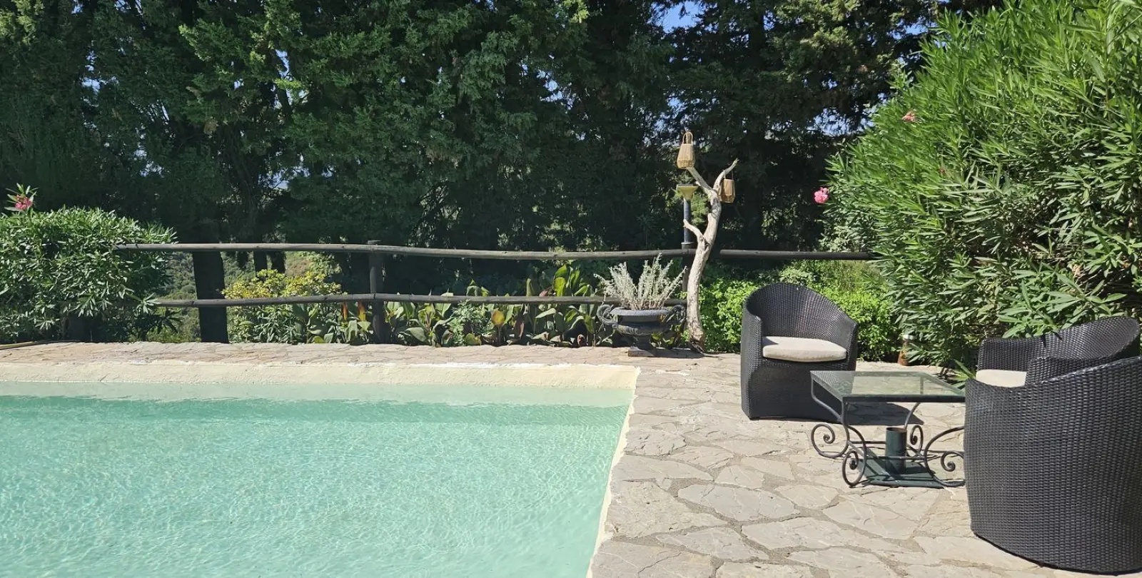 Venta de finca - cortijo en Casares 26