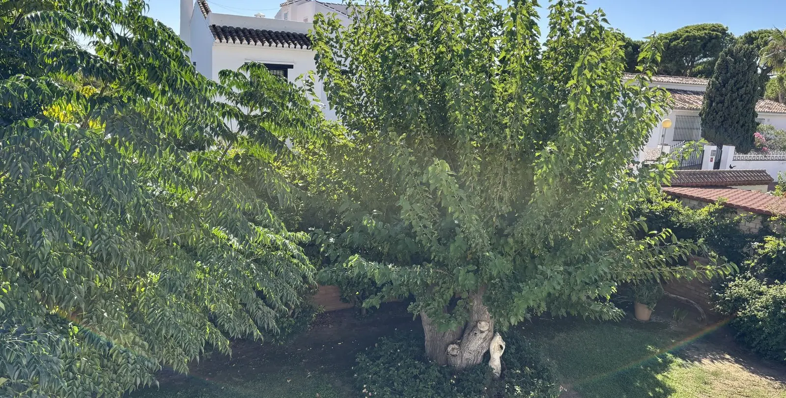 Venta de villa independiente en Calahonda 25