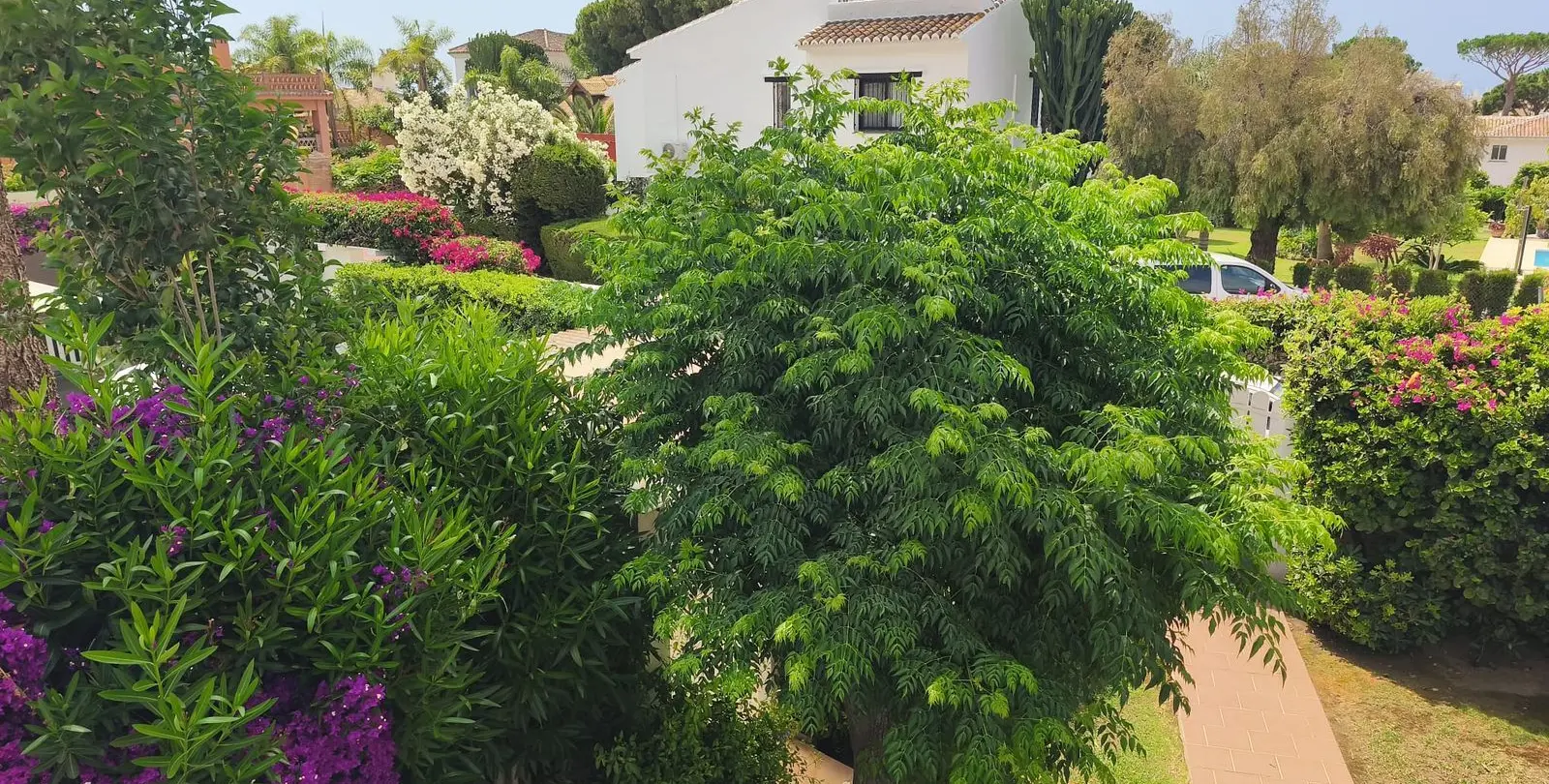 Venta de villa independiente en Calahonda 44