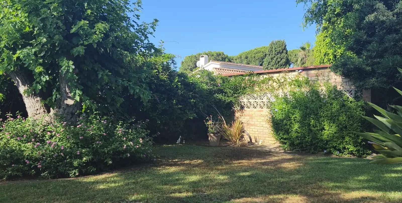 Venta de villa independiente en Calahonda 50