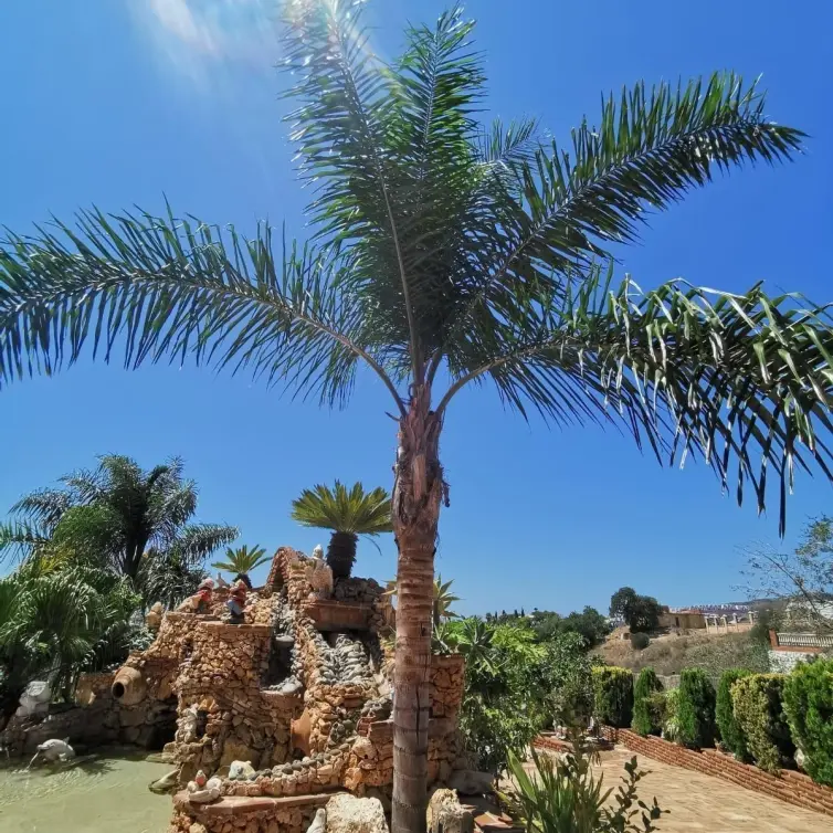 Venta de finca - cortijo en La Cala de Mijas