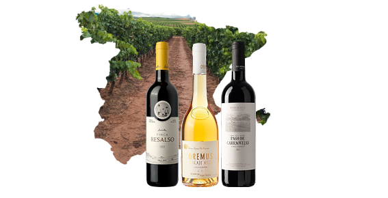 SOLO Wine